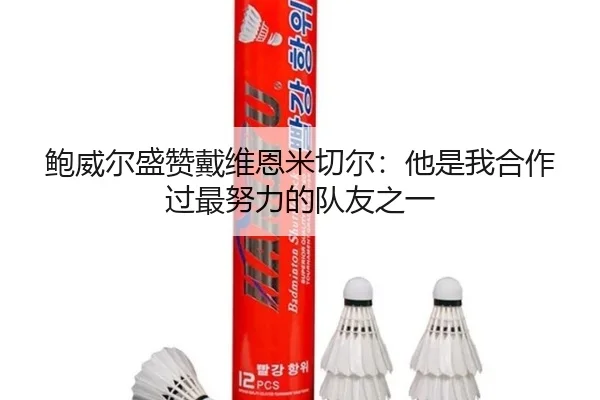 鲍威尔盛赞戴维恩米切尔:他是我合作过最努力的队友之一